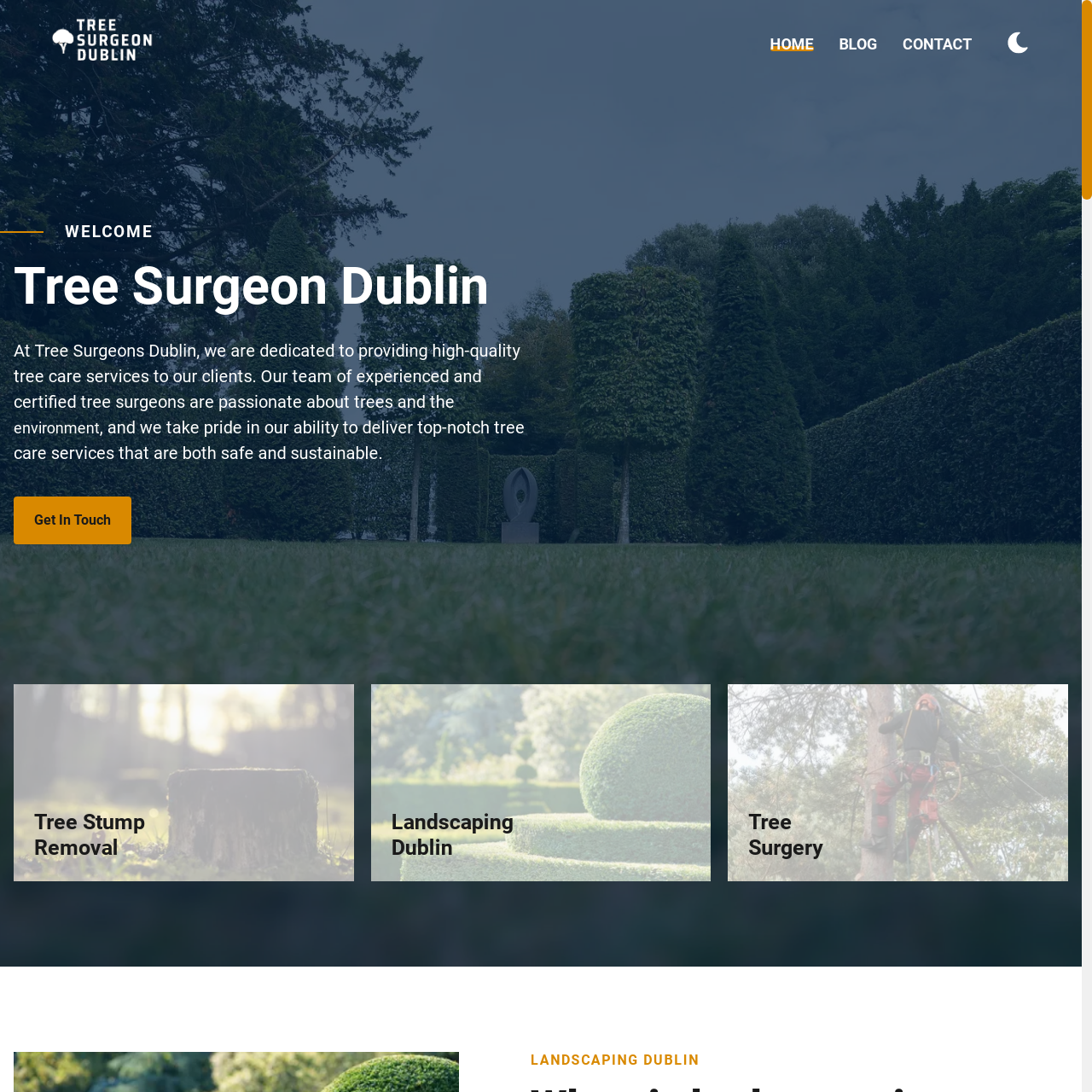 Tree Surgeon Dublin